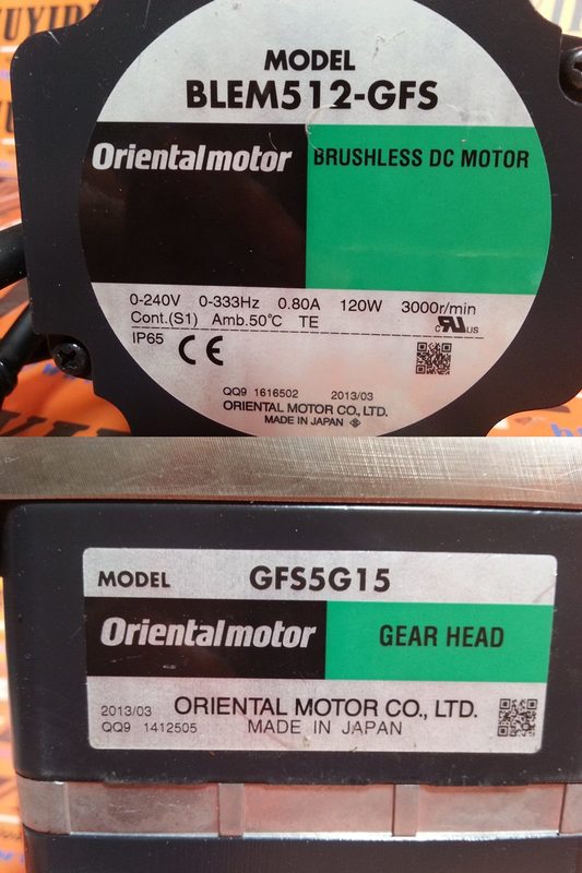 ORIENTAL BLEM512-GFS BRUSHLESS DC MOTOR WITH GFS5G15 - 裕益科技